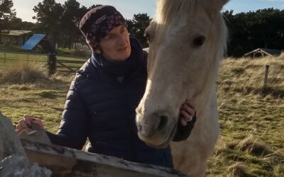 Trauma and anxiety eased by the healing power of horses